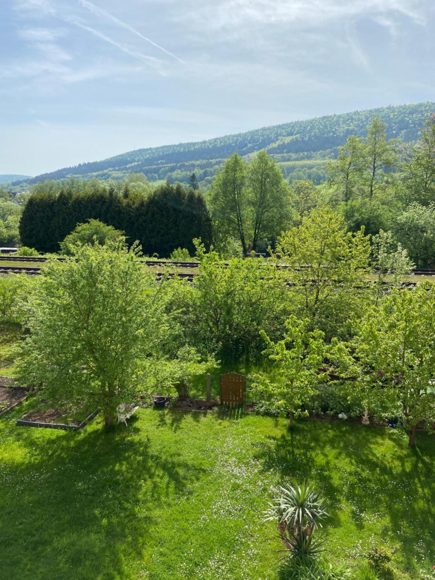 2Z-Ferienwohnung, Umgeben Vom Spessart & Main Stadtprozelten Extérieur photo