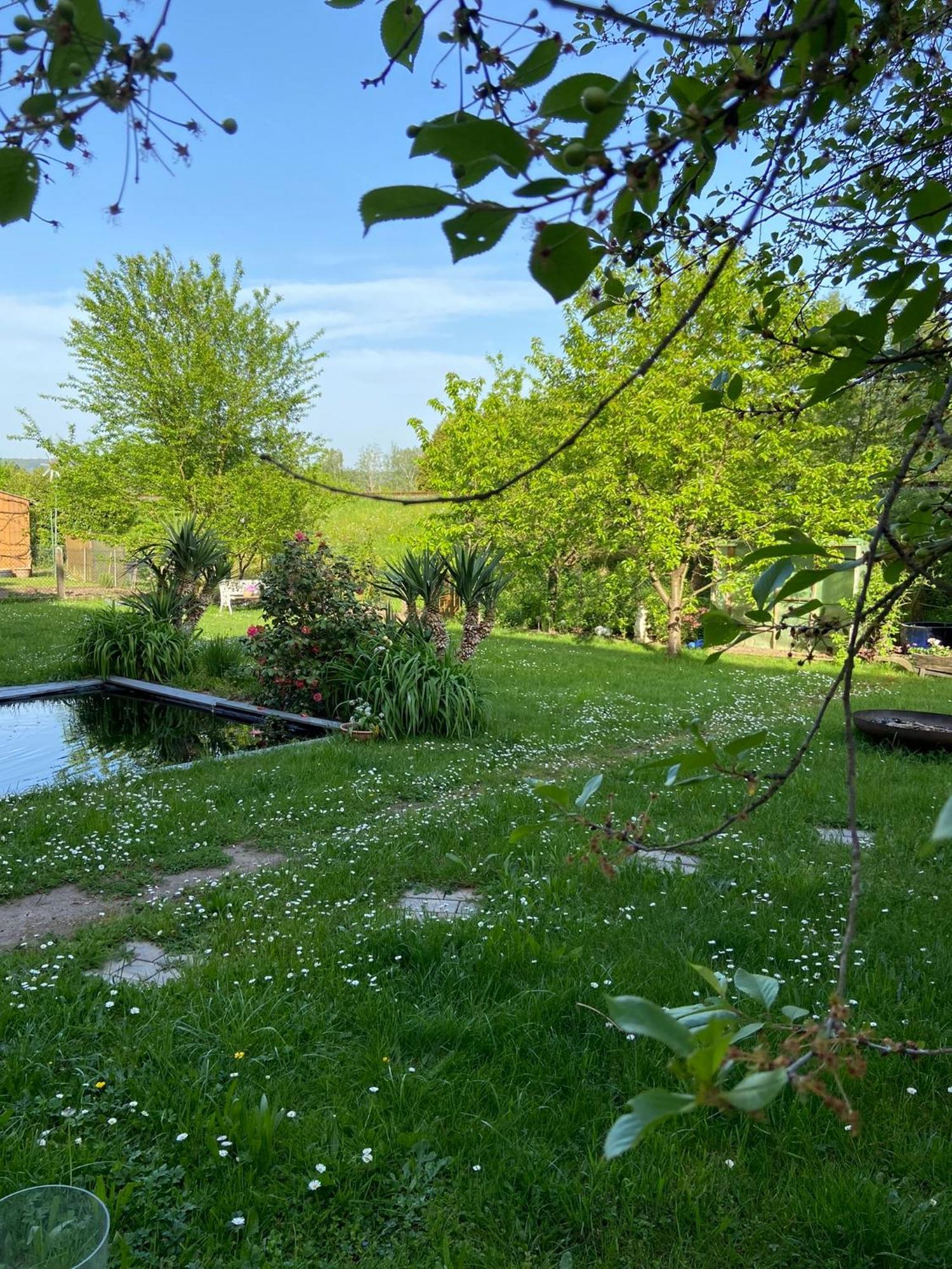 2Z-Ferienwohnung, Umgeben Vom Spessart & Main Stadtprozelten Extérieur photo